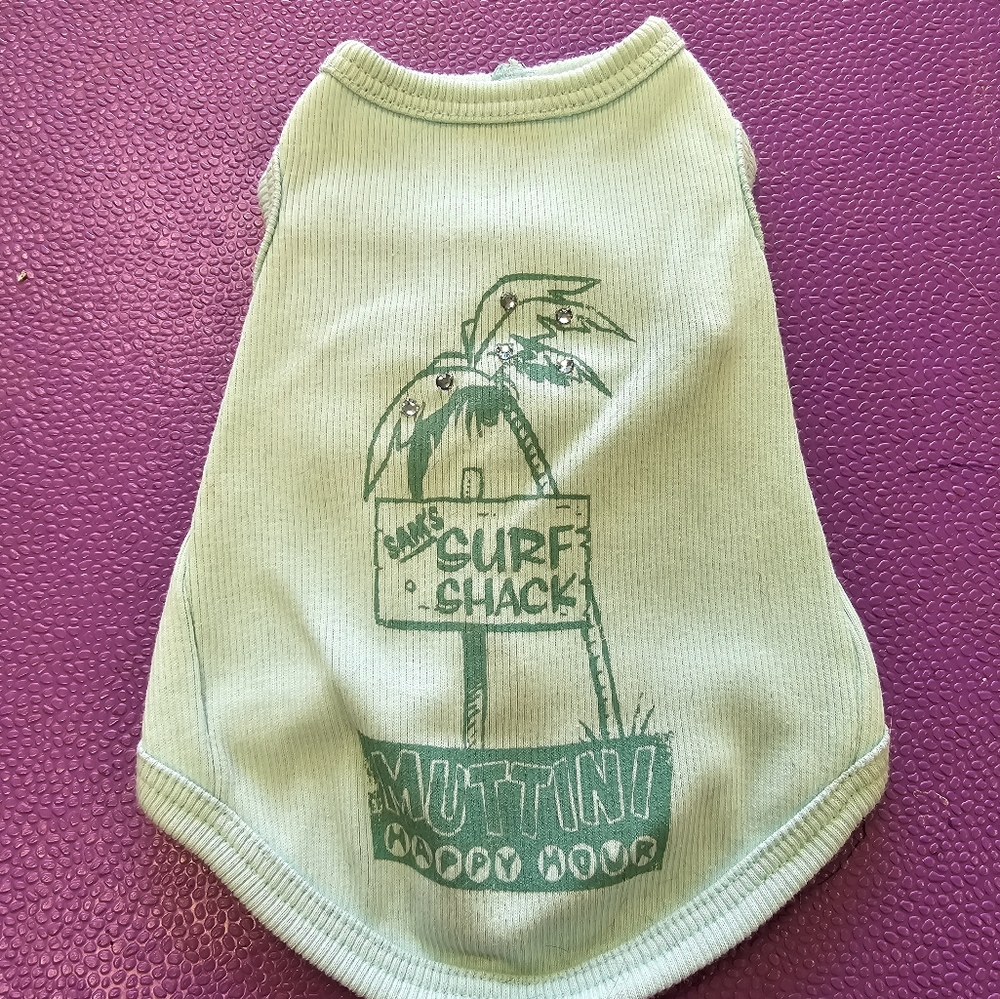Cute lt green xsmall dog shirt